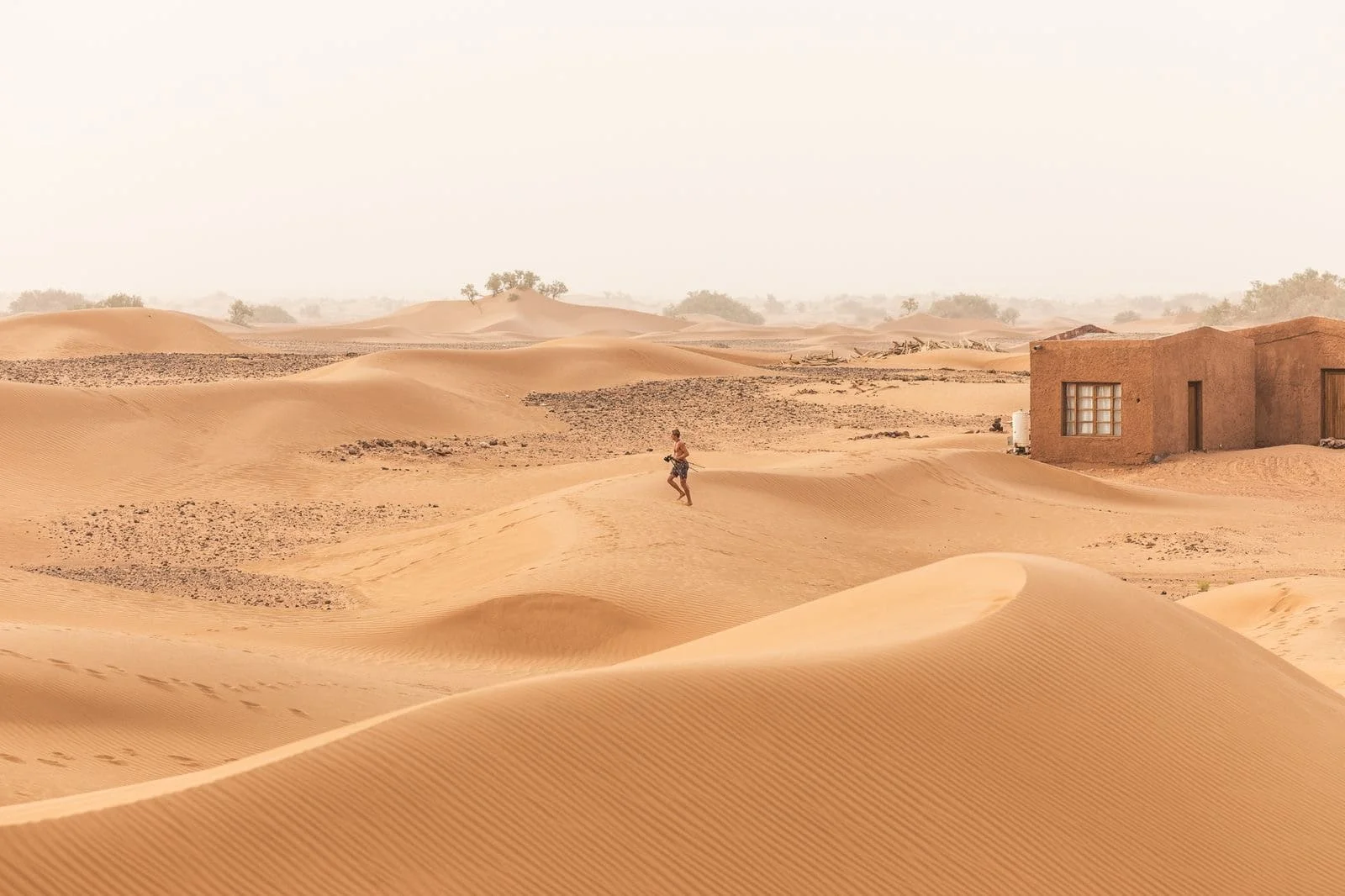 Sahara Camp at Night
