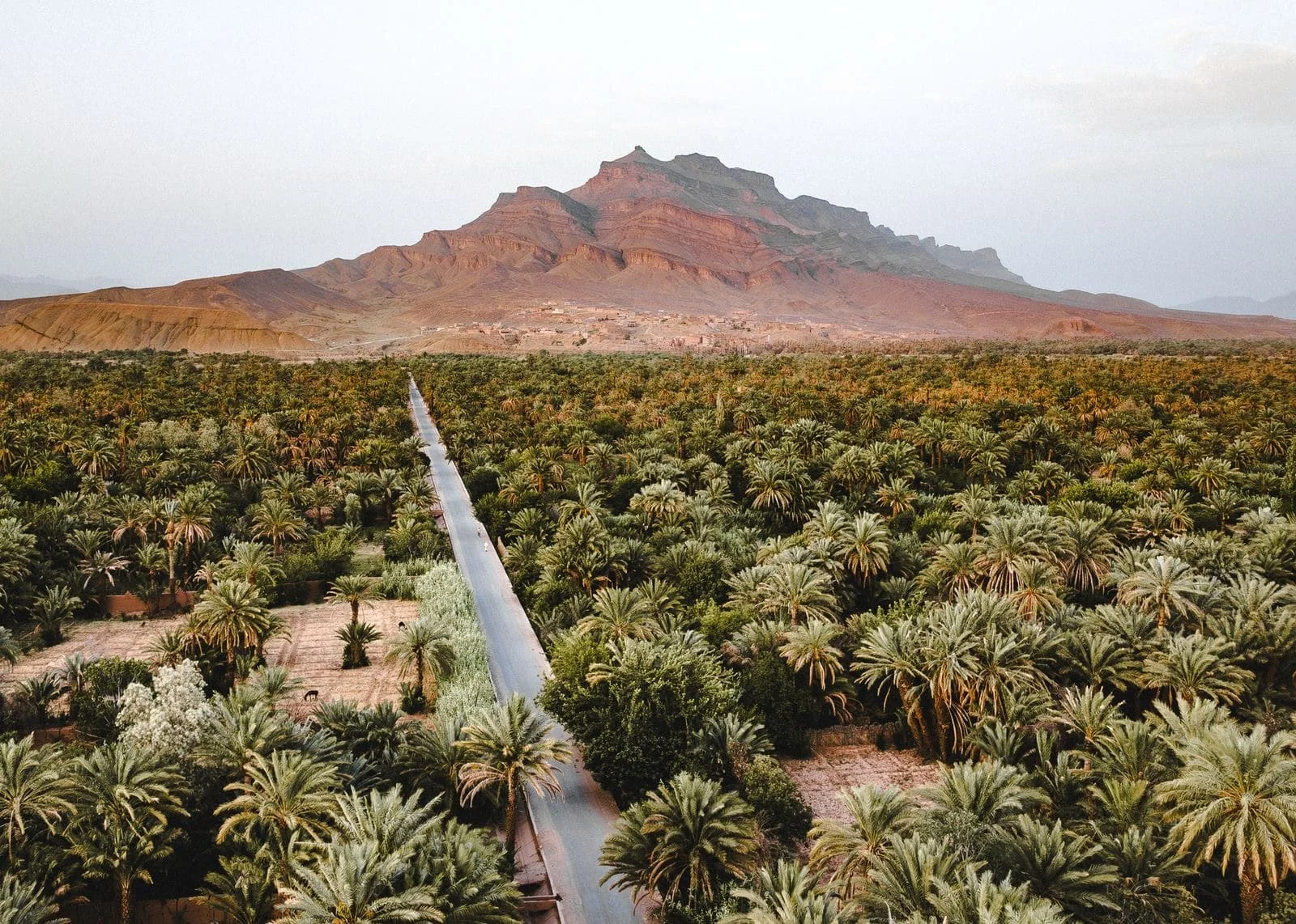 tours of morocco